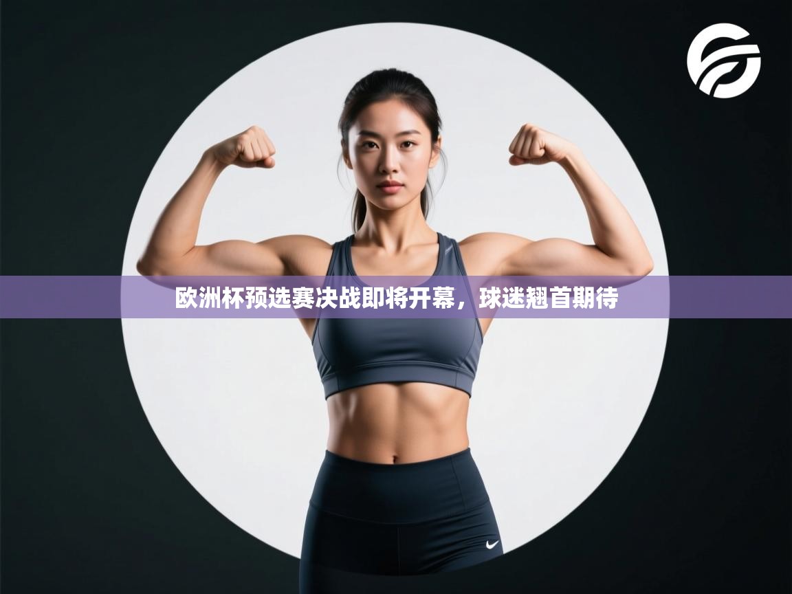 欧洲杯预选赛决战即将开幕,球迷翘首期待 第2张